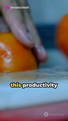 Pomodoro Power: Boost Your Productivity