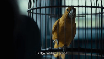 Observados | Tráiler oficial subtitulado