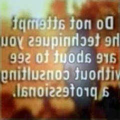 The Dog Whisperer Season 5 Episode 12 Brittany Dawg And Boo (Bad Blood)