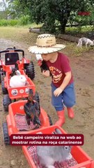 Menino de 3 Anos de Joinville Viraliza ao Mostrar Vida na Roça em Santa Catarina 🌾