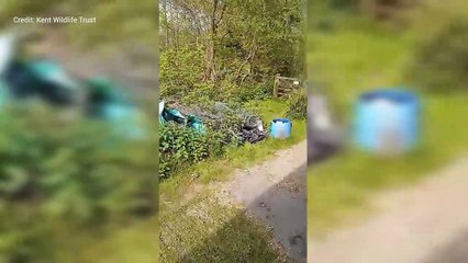 Thieves cause £20k of damage to Sevenoaks Nature Reserve