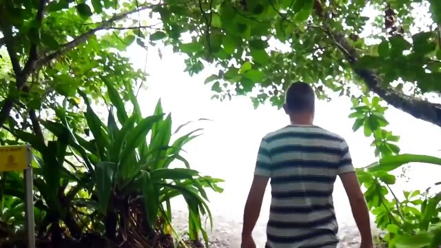 世界で最も危険なビーチ