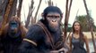 Go Inside Kingdom of the Planet of the Apes