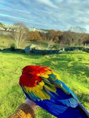 Frist day of freefly