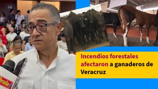 Incendios forestales afectaron a ganaderos de Veracruz