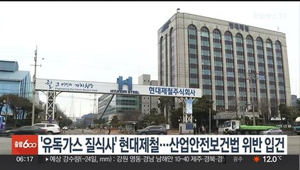 '유독가스 질식사' 현대제철…산업안전보건법 위반 입건
