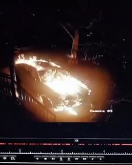 Lash tech's car gets torched by angry customer, who couldn't get her appointment booked