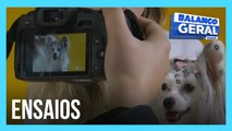 Tutores registram  o amor por seus pets em ensaios fotográficos profissionais.
