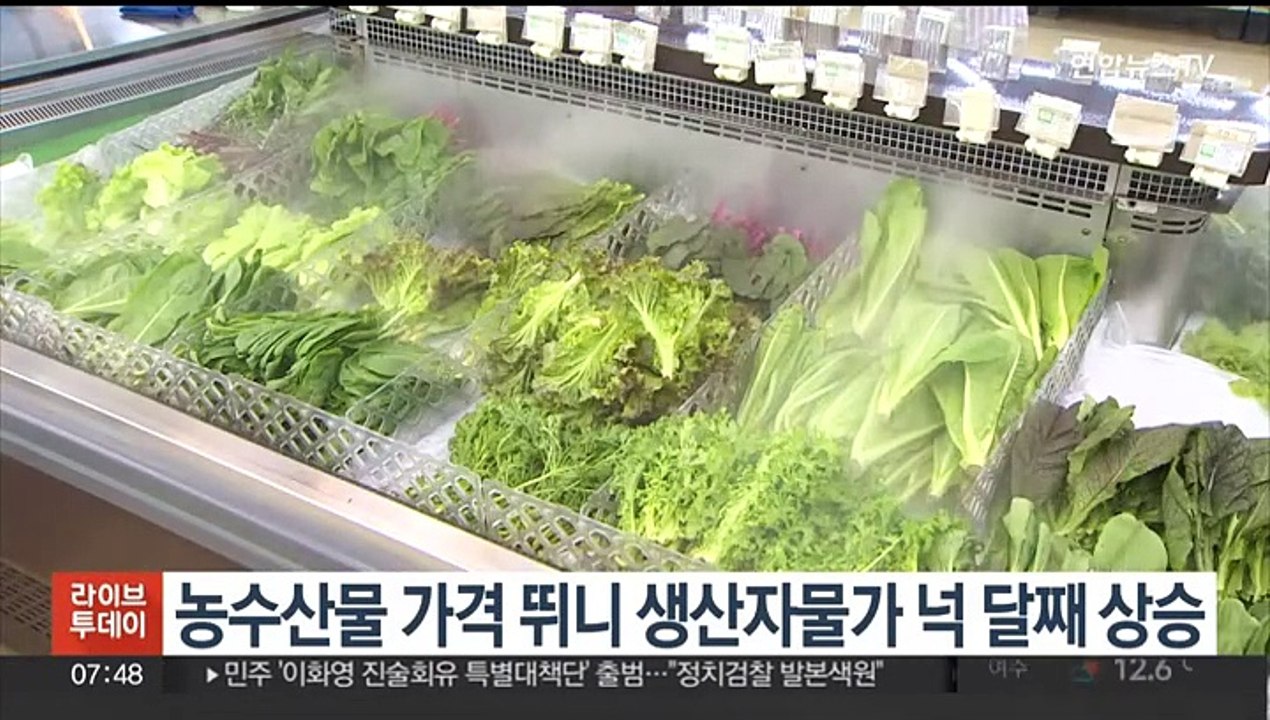 농수산물 가격 뛰니 생산자물가 넉 달째 상승