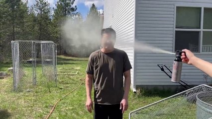 Testing the legitimacy of Grizzly Bear Mace