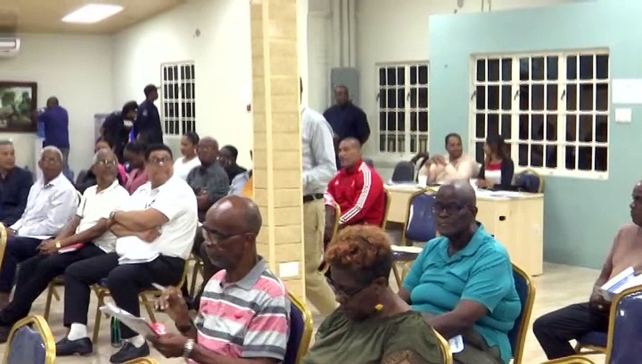 CONSTITUTION REFORM CONSULTATION, ARIMA