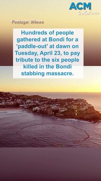 Bondi community reflects on stabbing victims in dawn paddle-out