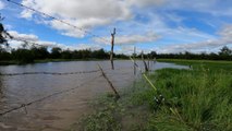 Pesca en Laguna Increíble, Aventura por el Campo y Mojarreando con caña, Pesca De Barrio