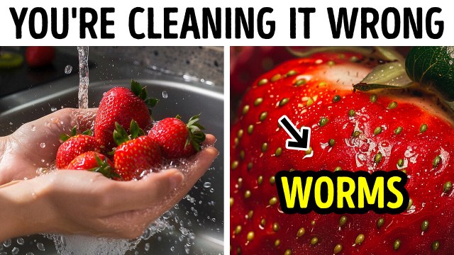 Little Everyday Secrets That Will Make Your Life Easier