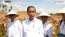 Tanggapan Presiden Jokowi terkait Putusan Sidang Putusan MK