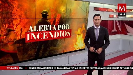 Download Video: Incendios forestales afectan más de 33 mil hectáreas en la Selva de los Chimalapas, Oaxaca