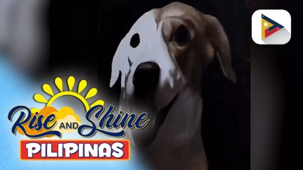 Colorblind artist mula Quezon City, hinangaan dahl sa galing sa pagpinta