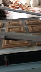 TM3000 vacuum membrane press machine