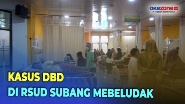 Kasus DBD Membeludak, RSUD Subang Rawat Ratusan Pasien