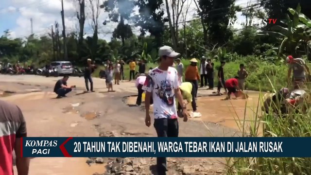 Warga Lampung Timur Tebar Ikan di Jalan Rusak yang 20 Tahun Tak Dibenahi