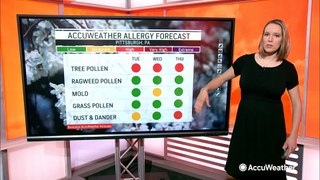 Pollen levels on the rise across much of the US