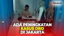 70 Persen Kasus DBD di Jakarta Menjangkit Anak SD dan SMP