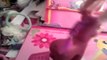 MLP Pajama Party 2 Pinkie Pie & Gummy Snap Equestria Girls My Little Pony Toy Review Par