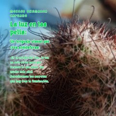 Moises Shemaria Capuano | La Luz en las Pelis (Parte 1) (Creado por @MoisesShemariaCapuano)