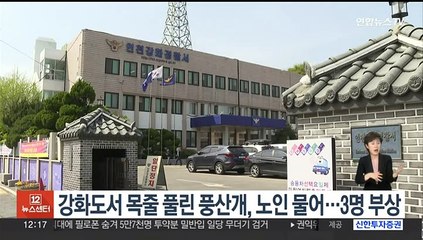강화도서 목줄 풀린 풍산개, 노인 물어…3명 부상