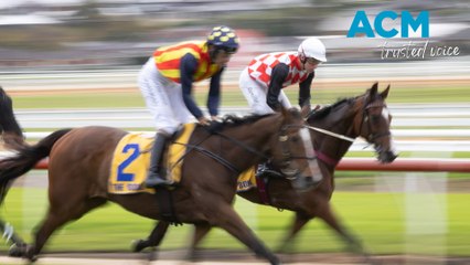 Warrnambool Police will be out in force during May Race Carnival