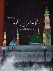 تو کجا من کجا ۔زبردست کلام