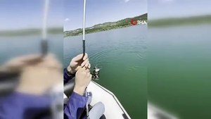 Sapanca Gölü'nde bir dev yakalandı