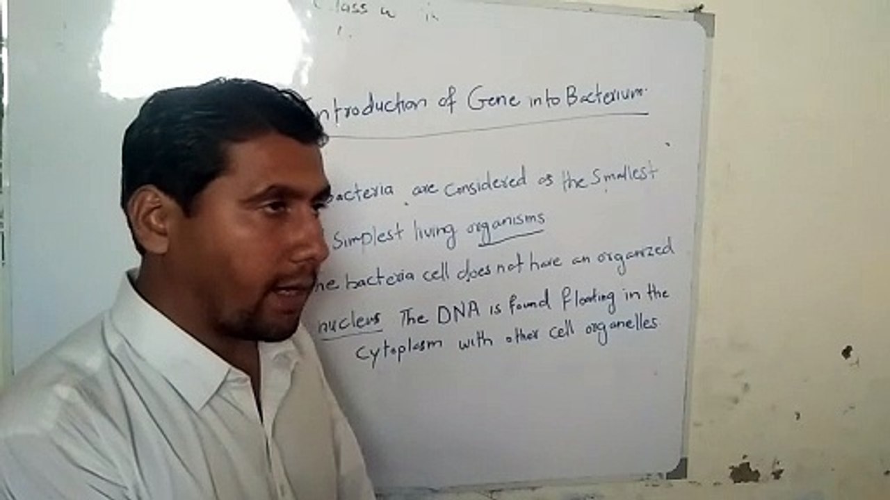 Chapter Three Biotechnology Part 1