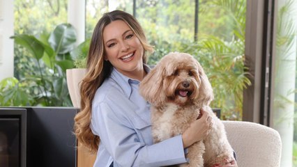 Nearly half of UK pets have their own room to relax in