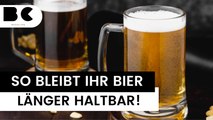 Richtige Lagerung: So bleibt Bier länger haltbar