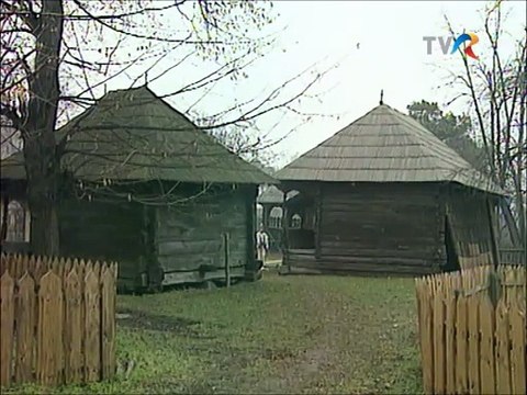 Iulian Mutu Constantin - Cine are sase boi ( Sufletul satului - TVR - 2006)