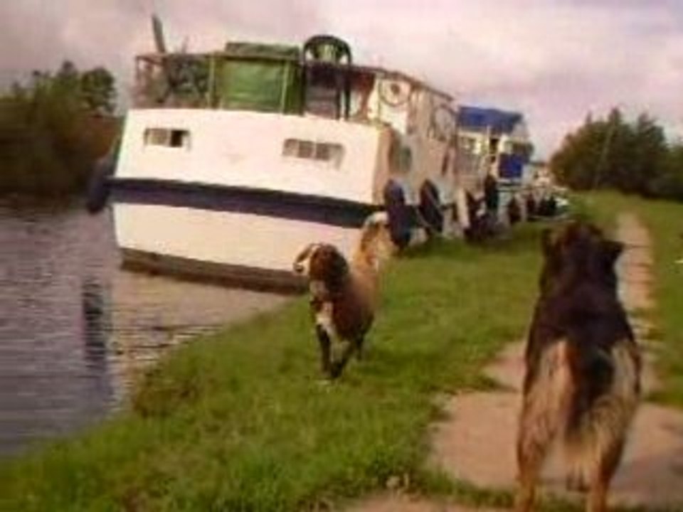 Gdzieś w Irlandii 020