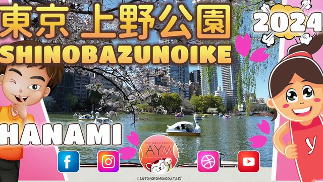 不忍池の桜 Hanami a Shinobazu a Ueno! SAKURA in Shinobazu pond 2024 Tokyo! 上野恩賜公園 桜まつり