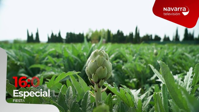 Programa especial 'La Muga' Fiestas de la Verdura, este jueves, a las 16:00 horas