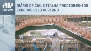 Brasil estabelece normas para abate e processamento de animais para mercados religiosos