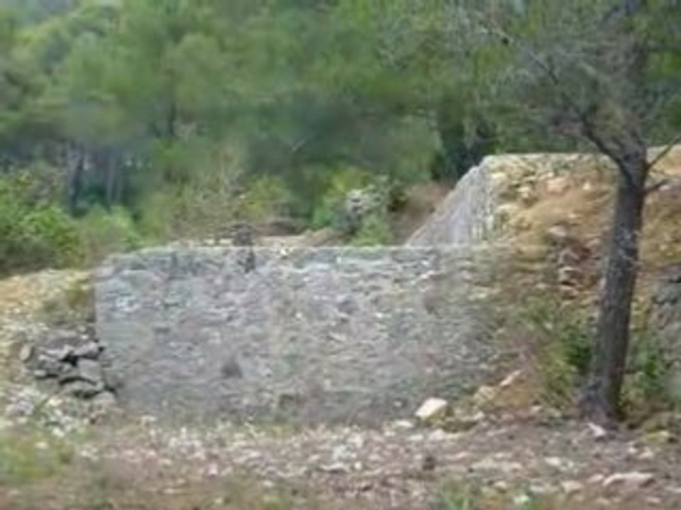 Yann au faron