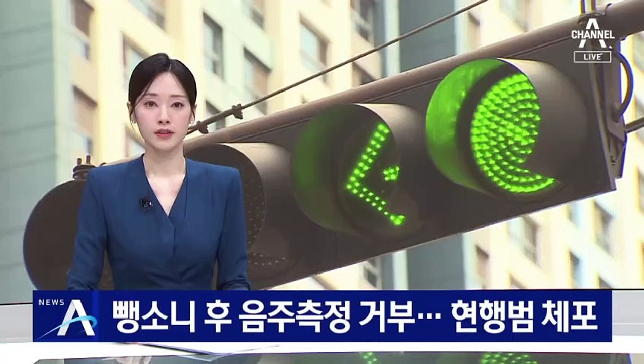 뺑소니 후 음주측정 거부…현행범 체포