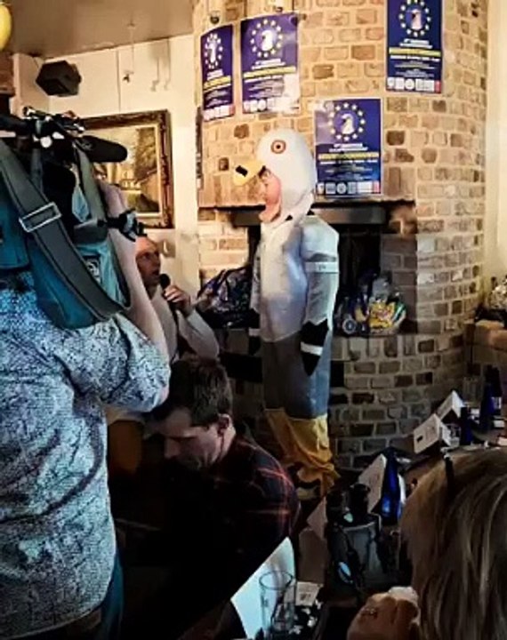 Rapaz de 9 anos vence concurso internacional de imitação de... gaivotas