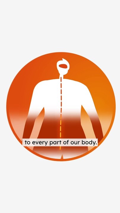 What is MS?