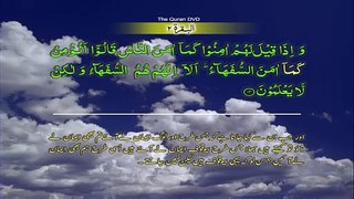 Surah 2 Al baqarah Ayat No 8-20 Ruku No 2 Word by word learning Quran in video in 4K