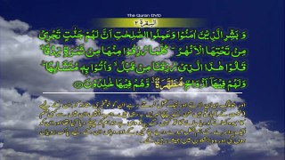 Surah 2 Al baqarah Ayat No 21-29 Ruku No 3 Word by word learning Quran in video in 4K