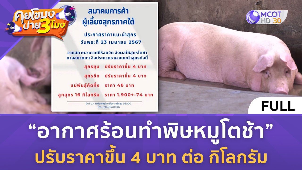 [คลิปเต็ม]อากาศร้อนทำพิษหมูโตช้า ปรับราคาขึ้น 4 บาท ต่อ กิโลกรัม (23 เม.ย. 67) | คุยโขมงบ่าย 3 โมง