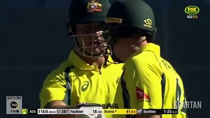 Marcus Stoinis 146(117)_ vs New Zealand  2017