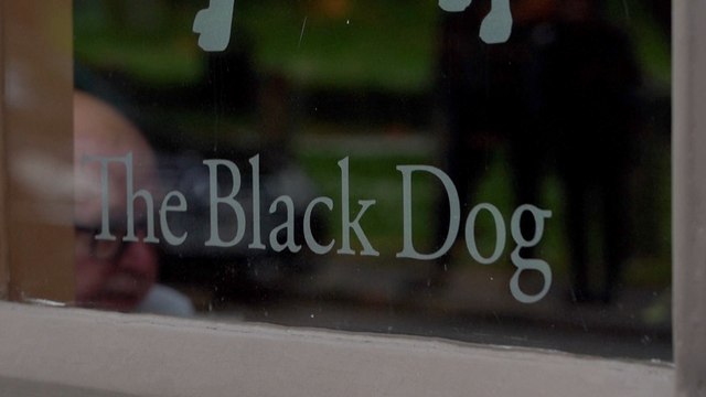 Taylor Swift Fans Flock to London Pub Mentioned in New Album