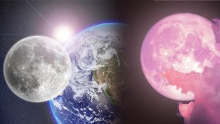 Full Pink Moon 23 April 2024 : आसमान में पिंक मून क्यों दिखाई देता है, धार्मिक और वैज्ञानिक कारण